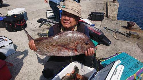 二神島の釣果