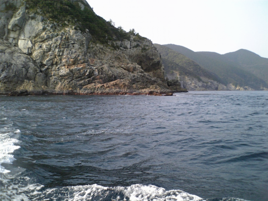 対馬厳原の磯釣り