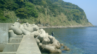 テトラのチヌ釣り