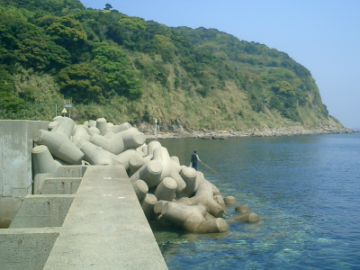 テトラのチヌ釣り