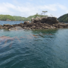 浅茅湾の島