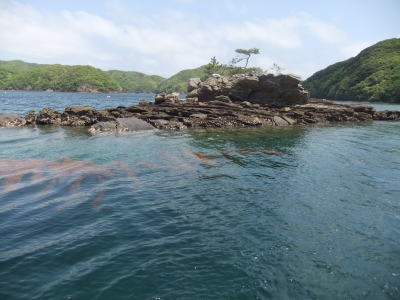 浅茅湾の島