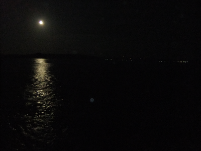 壱岐で夜釣り
