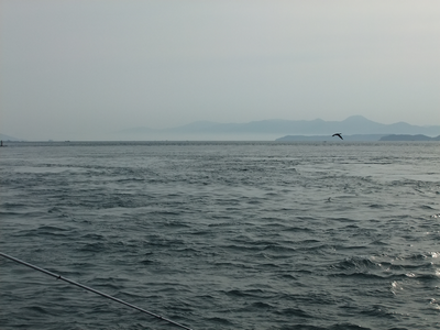 呼子か辛島の波止から