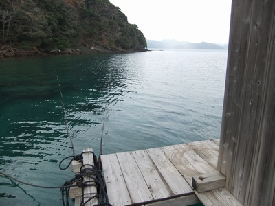 浅茅湾の筏