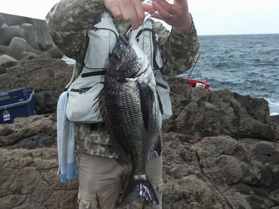 五島の釣果