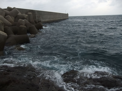 宇久島の磯