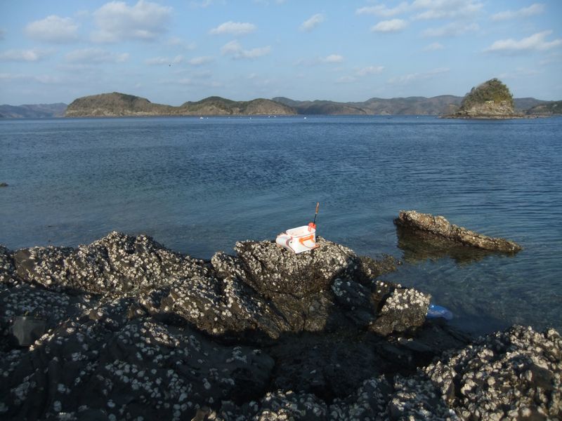 対馬の地磯