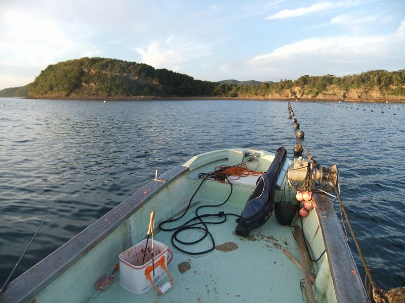 浅茅湾 箕島