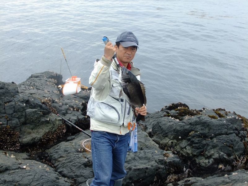 呼子の釣果