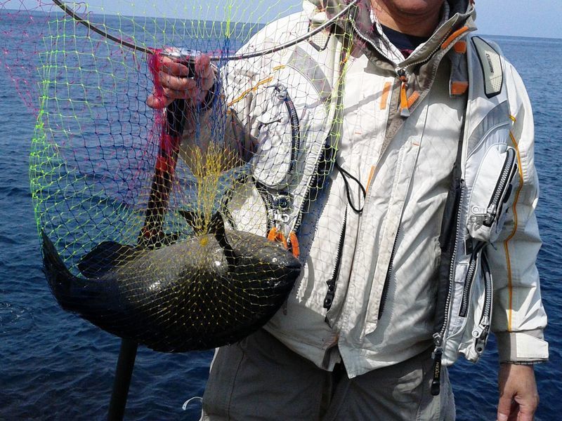 沖ノ島　釣果