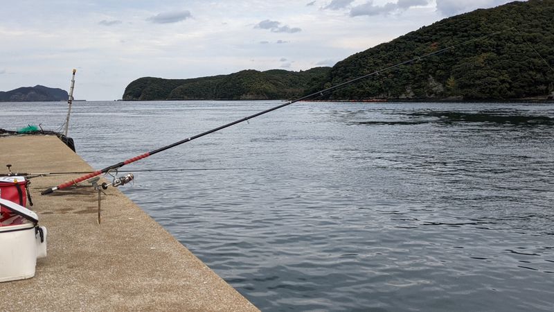 対馬　石鯛釣り